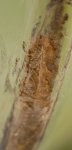 Boat Keel2.jpg