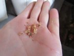 photo327174.jpg