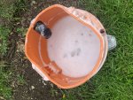 photo327763.jpg