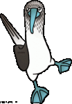 photo328883.gif