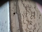 IMG_20200801_124348.jpg