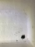 67000AFD-84C8-47BA-810B-CC7DC022166A.jpeg