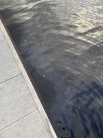 769FFDAB-58CB-4FDD-A735-1D0834BF861D.jpeg