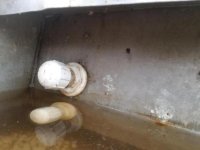 20201108_133145.thumb.jpg.911b2074260e3b1113a6f94f80b9f77a.jpg