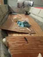 20201207_025335.jpg
