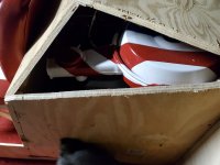 20201225_183722.jpg