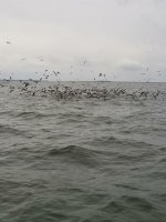 IMG_0146.JPG