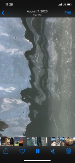 unburned at dock.PNG