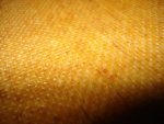 DSC02878.jpg