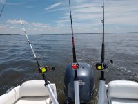 IMG_20210531_132248772.jpg