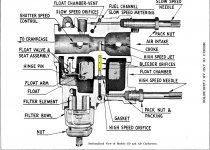 cd carb bugs.JPG