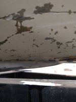 IMG_20210908_093214446.jpg