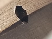 20210914_193641.jpg