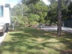 grassy tent area small.jpg