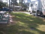 grass between campsite wfront.jpg