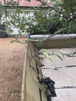 7F851597-76CF-4686-A247-26831C5340E4.jpeg