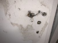 IMG_6445.JPEG