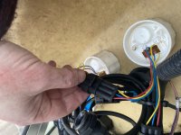 95D56E28-A07C-4D8C-8672-497E51688281.jpeg