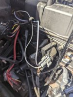 PXL_20220401_205358248.jpg