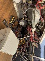 B5D6346D-EAF2-46D7-A6AF-707593AB0592.jpeg