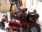 toro small.jpg