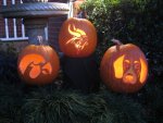 Pumpkins 09.jpg