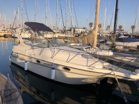 IMG_3328.jpeg