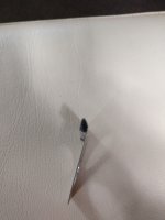 IMG_20220716_180724.jpg