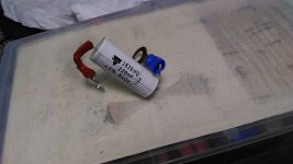 IMG_20220609_100016.jpg