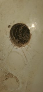 20220815_141300.jpg