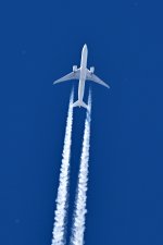 DSC_1056a.JPG