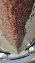 20220923_154841.jpg