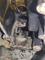 IMG_20220920_185554.jpg