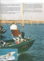 Evinrudeb73010.jpg