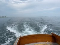 BB5592A4-C758-4FCF-BD37-CDF595CB66C4.jpeg