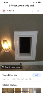 93F41515-5D04-432D-9C32-8DFA9BA495C3.png