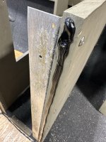 IMG_1370.JPEG