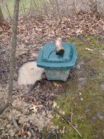 Worm Bed Wet 01.jpg