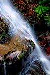 DSC_0004.jpg