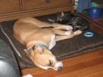 IMG_0308n.JPG
