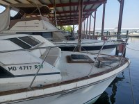 IMG_20230618_155032.jpg