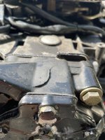 IMG_3167.jpeg
