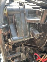 IMG_3168.jpeg