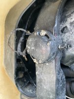 IMG_0899.jpeg