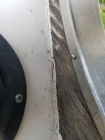 20230706_182912.jpg
