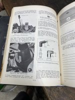IMG_2515.jpeg