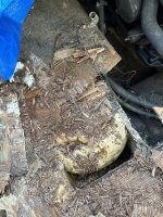IMG_1443.jpeg