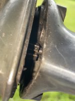IMG_4415.jpeg