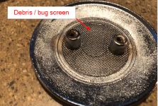 Bug Screen.png