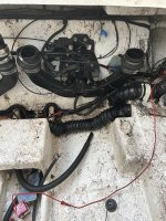 IMG_6255.jpeg